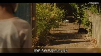 天赐之女在线观看乐视,乐视独家上线，揭秘神秘家族传奇