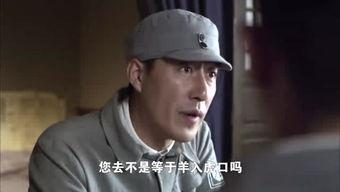 利前纵横全集在线观看,穿越时空的智慧之旅