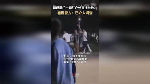 厦门一套直播在线观看,实时在线观看厦门风采