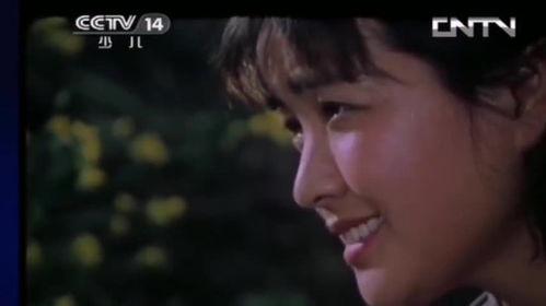电影小花在线观看影片,穿越时光的青春记忆