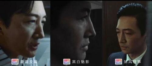 邪杀电影手机在线观看,手机在线惊悚揭秘