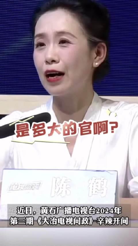 胡北卫视直播在线观看,精彩瞬间尽收眼底