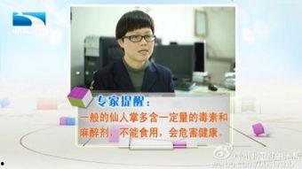 胡北卫视直播在线观看,精彩瞬间尽收眼底