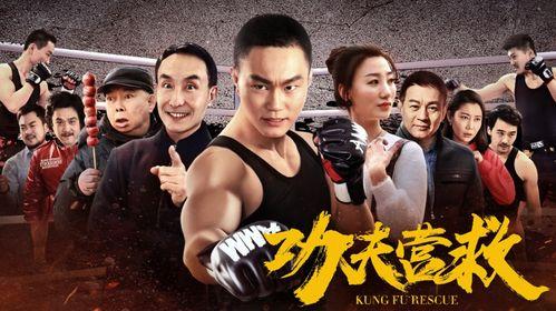 中国功夫电影在线观看,中国功夫电影在线观影指南