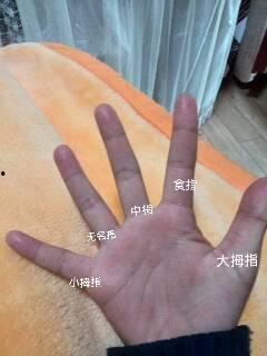 五根手指全集在线观看,指尖上的情感交响曲