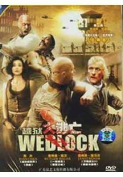 越狱大逃亡2在线观看,惊险续集，逃亡之路再启程